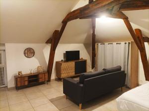 salon z kanapą i telewizorem w obiekcie Studio en pleine campagne avec jardin privatif w mieście Bournand
