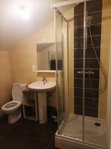 a bathroom with a shower and a sink and a toilet at Studio en pleine campagne avec jardin privatif in Bournand