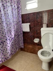 baño con aseo y cortina de ducha púrpura en Departamento Sarmiento 1, en San Luis