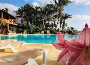 a pool at a resort with chairs and palm trees at Beach front ocean view Porto Antigo2 Santa Maria in Santa Maria