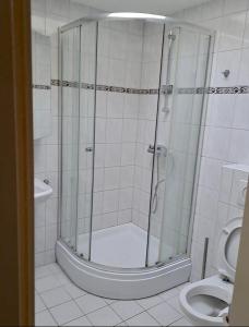 a bathroom with a shower and a toilet at Derbyallround in Herkingen