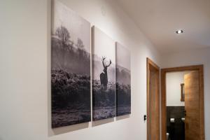 Foto sihtkohas Wald im Pinzgau asuva majutusasutuse Apartment Waldherz galeriist