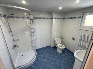 een badkamer met een toilet, een douche en een wastafel bij Villa Stoyanovata Kashta in Samokov