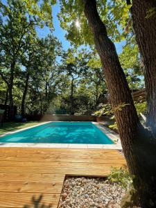 basen z drewnianym tarasem obok drzewa w obiekcie Pine-Wood Resort w mieście Balatonalmádi