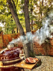 - un grill avec une assiette de viande et un verre de vin dans l'établissement Pine-Wood Resort, à Balatonalmádi