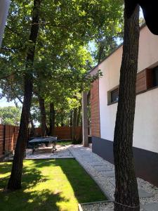 Fotografia z galérie ubytovania Pine-Wood Resort v destinácii Balatonalmádi