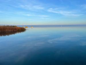 Fotografia z galérie ubytovania Pine-Wood Resort v destinácii Balatonalmádi