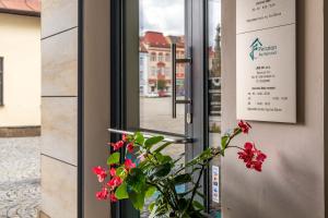 Fotografia z galérie ubytovania Penzion Na Náměstí v destinácii Dvůr Králové nad Labem