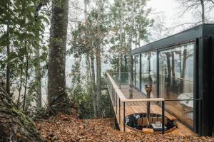 Samadhi Eco Resort في Vilcún: منزل زجاجي في الغابة مع شرفة خشبية