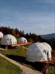 three domes in a field with trees in the background at Глемпінг Де Вайб (devibe-vorokhta) in Vorokhta