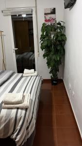 Łóżko lub łóżka w pokoju w obiekcie PLAYA ALMARDA CORINTO, PISCINA, WIFI,2 TERRAZAS, BARBACOA,TRANQUILo
