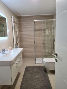 W łazience znajduje się prysznic, umywalka i toaleta. w obiekcie Apartman PEPI w Zagrzebiu