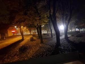 Fotografia z galérie ubytovania Apartman Danijela v destinácii Vukovar