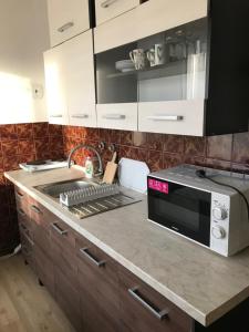 eine Küche mit einer Spüle und einer Mikrowelle in der Unterkunft Apartmán na Polesí in Deštné v Orlických horách