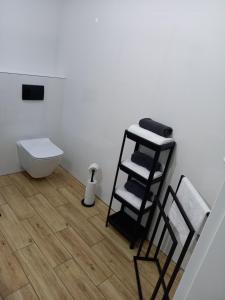 a bathroom with a toilet and a towel rack at Apartament Różana Piątka in Kutno