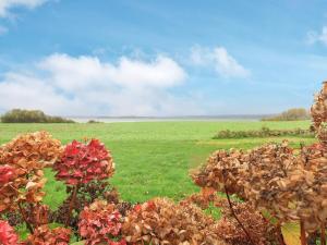 Gallery image of 4 person holiday home in Faaborg-By Traum in Bøjden