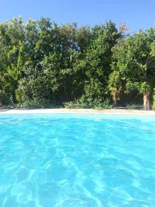 Villa Melina with pool by the sea في بيذافروس القديمة: تجمع كبير من الماء الأزرق مع الأشجار في الخلفية