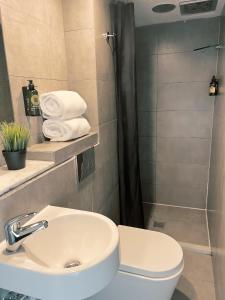 uma casa de banho com um lavatório, um WC e um chuveiro em Sydney Boutique Hotel em Sydney