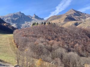 wzgórze z drzewami i górami w tle w obiekcie Incantevole 90MQ sulle piste di Limonetto w mieście Limone Piemonte