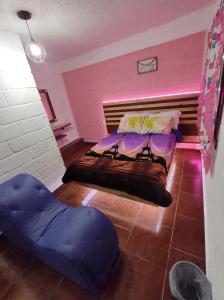 a bedroom with a bed and a purple wall at Cabañas Alicia in Mexico City