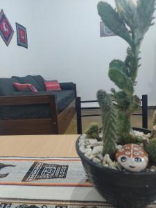 a cactus sitting on a table in a living room at Casa de Barro Tilcara in Tilcara