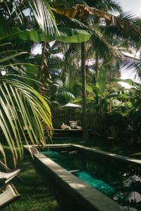 a swimming pool in a yard with palm trees at Pousada Peixe do Mato in São Miguel dos Milagres