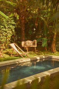 Um jardim em Pousada Peixe do Mato