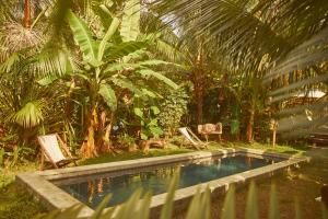 Um jardim em Pousada Peixe do Mato