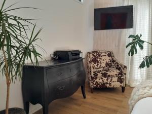 a room with a dresser and a chair and a plant at Hau Lodge Malalcahuello Corralco Starlink in Malalcahuello