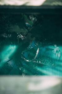 Foto da galeria de Pousada Peixe do Mato em São Miguel dos Milagres