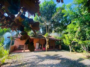 Zahrada ubytování Forest Side Ecolodge + 62 fotografií