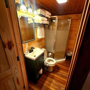 a bathroom with a toilet and a shower and a sink at The Windstorm Cabin - Pet-friendly & a 2-person Jacuzzi hot tub! in Marshall