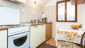 Kuchyň nebo kuchyňský kout v ubytování Apartment XXL Rio