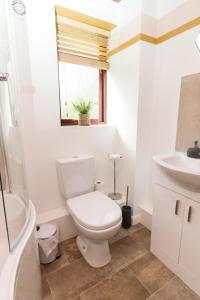 a white bathroom with a toilet and a sink at Maltings House Cosy and Stylish 2 bedroom flat near the city centre with free parking and ensuite rooms in Carlisle