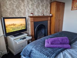 a bedroom with a bed with a tv and a fireplace at Shergold Rooms in Swindon