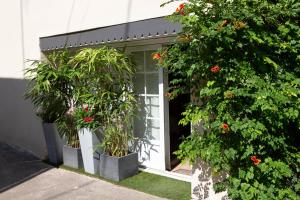 a front door of a house with plants and flowers at Le Clos de la Chouette in Pommard