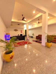 uma sala de estar com vasos de plantas e um sofá em La Township Residency em Pondicherry