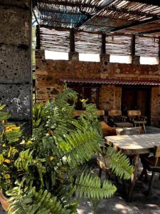 a patio with a table and a bunch of bananas at Casa Corazón in Celaya