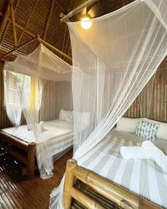 two beds in a room with mosquito nets at La Tortue Diving Resort Dauin in Dauin