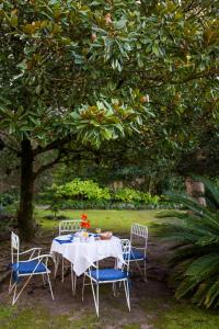 a table and chairs sitting under a tree at Hotel Sintra Jardim in Sintra