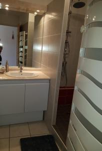 Koupelna v ubytování APPARTEMENT ANCELLE