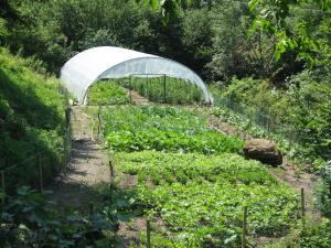 A garden outside Agriturismo Al Marnich