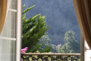 a window with a view of a christmas tree at Hotel Sintra Jardim in Sintra