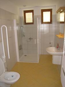 a bathroom with a shower and a toilet and a sink at Skalský Mlýn in Lísek