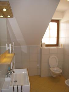 a bathroom with a sink and a toilet and a window at Skalský Mlýn in Lísek