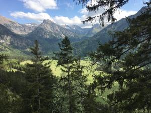 a view of a valley with trees and mountains at Ferienwohnung Lilli inklusive Bad Hindelang Plus in Bad Hindelang
