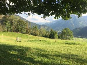 a field of green grass with mountains in the background at Ferienwohnung Lilli inklusive Bad Hindelang Plus in Bad Hindelang