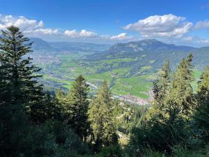 a view of a valley with trees and mountains at Ferienwohnung Lilli inklusive Bad Hindelang Plus in Bad Hindelang