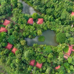 an aerial view of a forest and a lake at Memoria Palace & Resort in Pailin