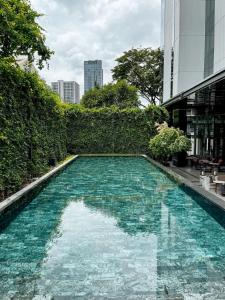 สระว่ายน้ำที่อยู่ใกล้ ๆ หรือใน HOMM Sukhumvit34 Bangkok